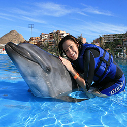 Program with dolphins in los Cabos
