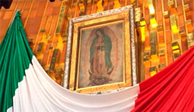 Image of our Lady of Guadalupe