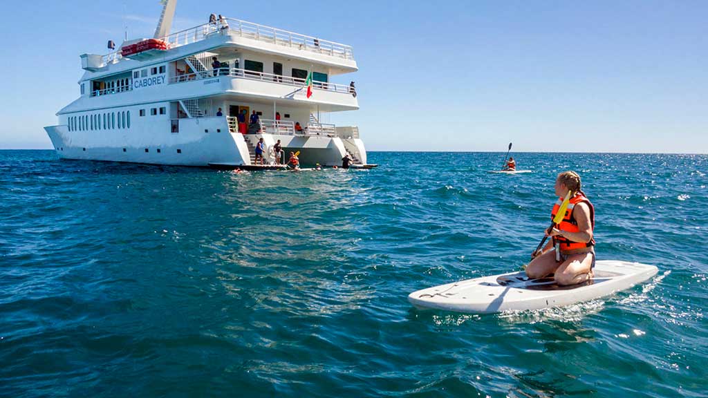 Aventura de snorkel y paddleboard en Los Cabos