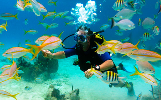 Buceo Cayo Santa Maria