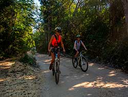 Cenote tour from Cancun