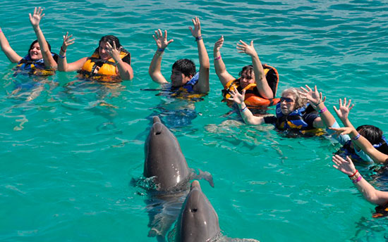 Nadar con delfines en Cuba