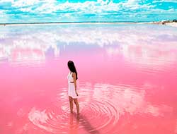 Las Coloradas and Pink Lake Tour