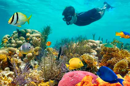puerto morelos reef snorkeling